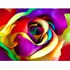Attractive Multi color Roses - Paint with Diamonds