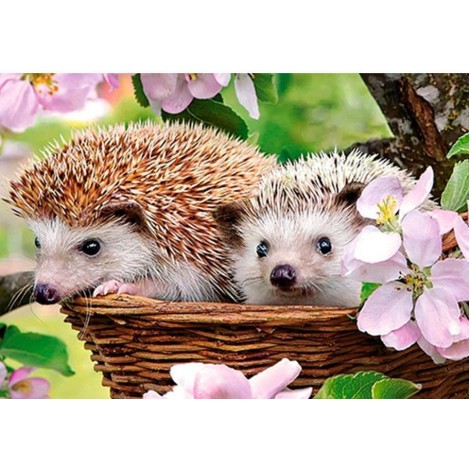 Adorable Hedgehog Couple in the Flowers