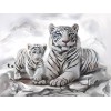 White Tiger & Baby