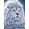 Huge Wild African Lions Collection