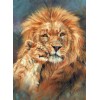 Huge Wild African Lions Collection