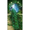 Adorable Peacock DIY Painting Kits for Adults