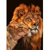 Huge Wild African Lions Collection