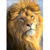 Huge Wild African Lions Collection