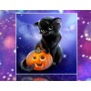 Big Black Halloween Cat