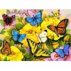 Adorable Butterflies on Yellow Flowers
