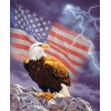 American Flag & Eagle Diamond Art Kit