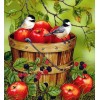 Sparrows  & Apple Bucket Painting Kit