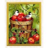 Sparrows  & Apple Bucket Painting Kit