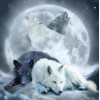 Wolves Diamond Art