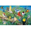 Birds Collection Diamond Art Kit