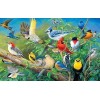 Birds Collection Diamond Art Kit