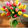 Tulips DIY Diamond Painting Kit