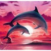 Pair of Dolphins Diamond Painting Kit