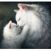 Gorgeous White Cats - Diamond Art Kit