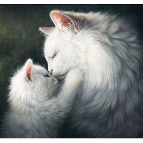 Gorgeous White Cats - Diamond Art Kit