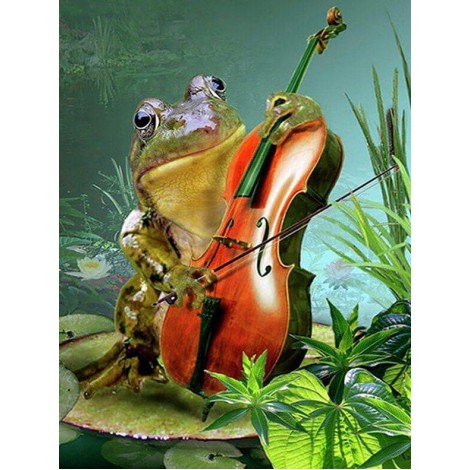 Funny Guitar Playing Frog Painting Kit