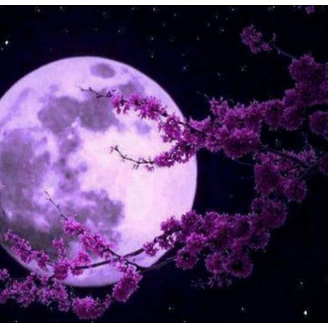 Cherry Blossoms & Fuul Moon Painting