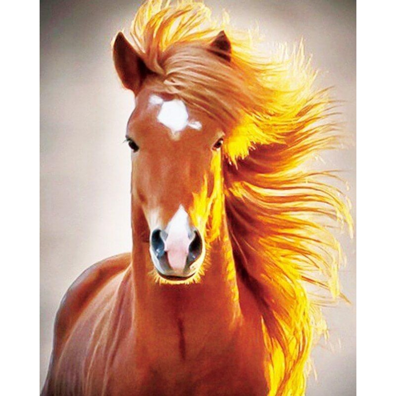 Stunning Horse Diamo...
