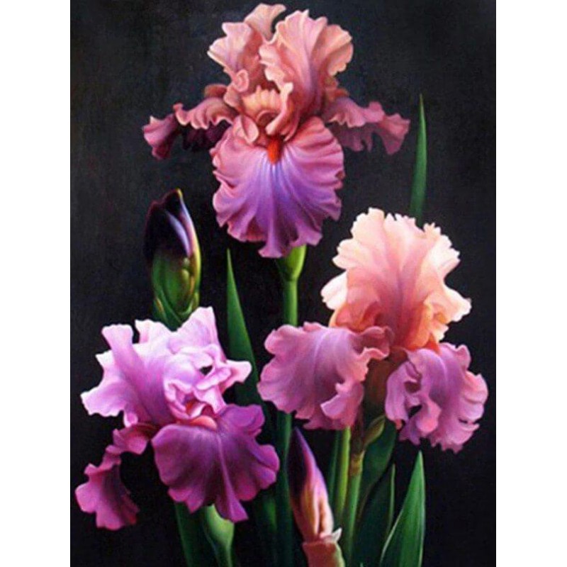 Iris Flowers DIY Dia...