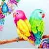 Sweet Parrots Pair Diamond Painting Kit