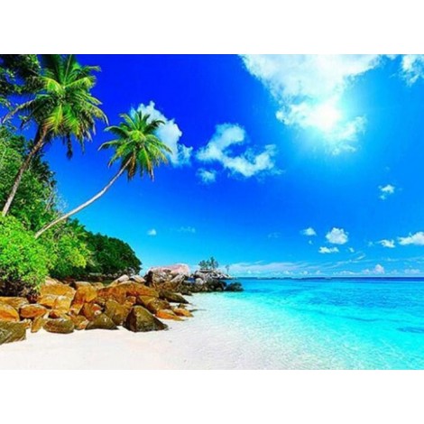 Blue Ocean & Palm Trees Landscape