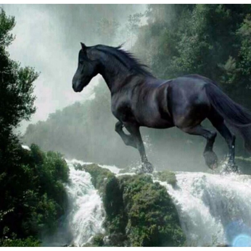 Black Horse Running ...