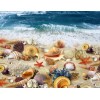 Sea Shells Diamond Art Kit