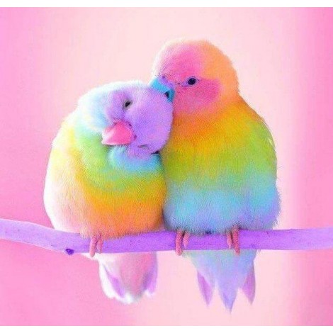 Sweet Little Parrots Pair