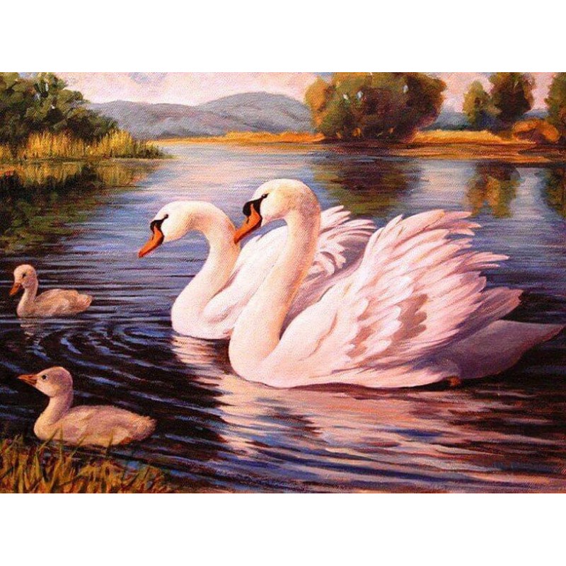 Fabulous Swans in th...