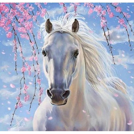 Long Haired White Horse