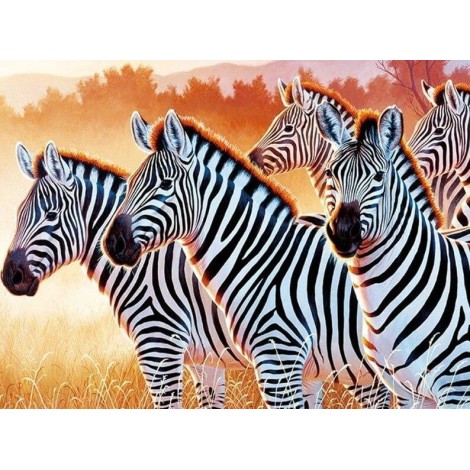 Zebras Diamond Art Kit