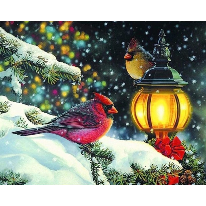 Winter Birds - Paint...