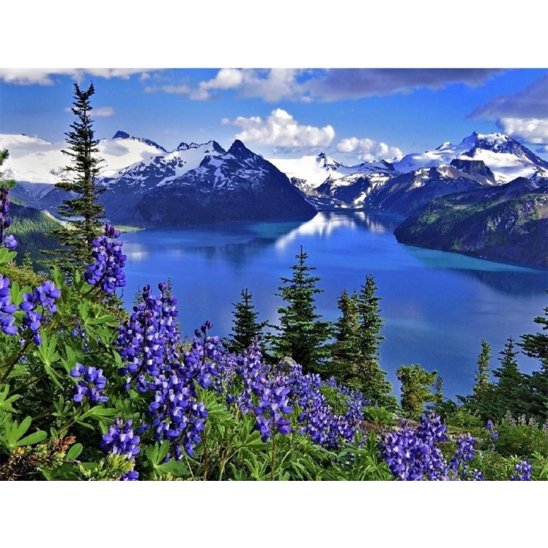 Natural Beautiful Bl...