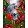 Beautiful Grey Parrots in Covered in Flowers