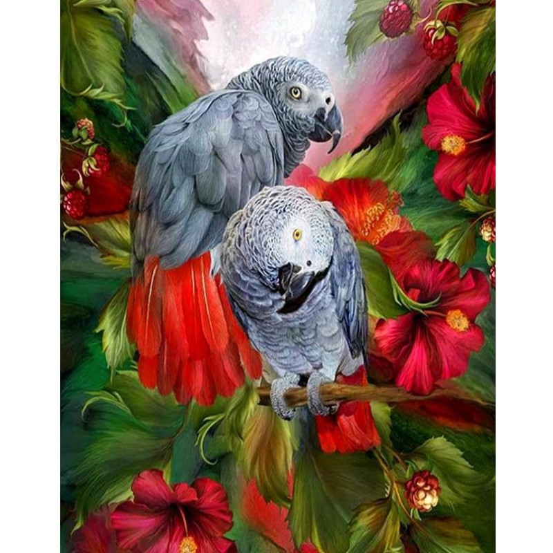 Beautiful Grey Parro...