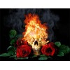Skull & Rose with Fire Diamond Painting