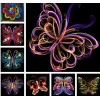 Unique Butterfly Collection of Paintings