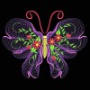 Unique Butterfly Collection of Paintings