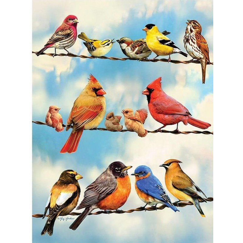 Birds - 5D Diamond A...