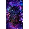 Owl Diamond Art Kit
