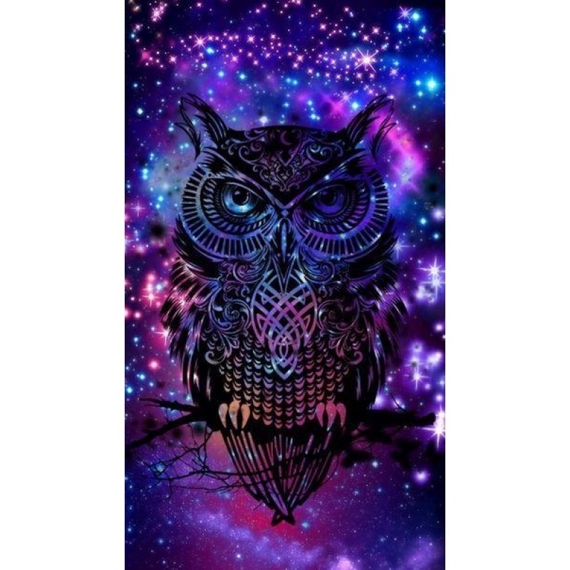 Owl Diamond Art Kit