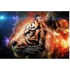 Amazing Tiger Diamond Art Kit
