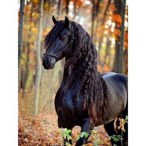 Horse with Long Hair Diamond Painting
