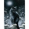 Creepy Night Cat Painting Kit