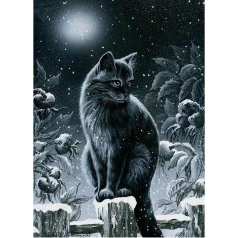Creepy Night Cat Painting Kit