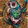 Beautiful Owl Diamond Art