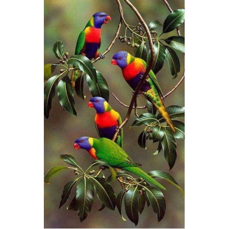 Parrots on Branches of Tree