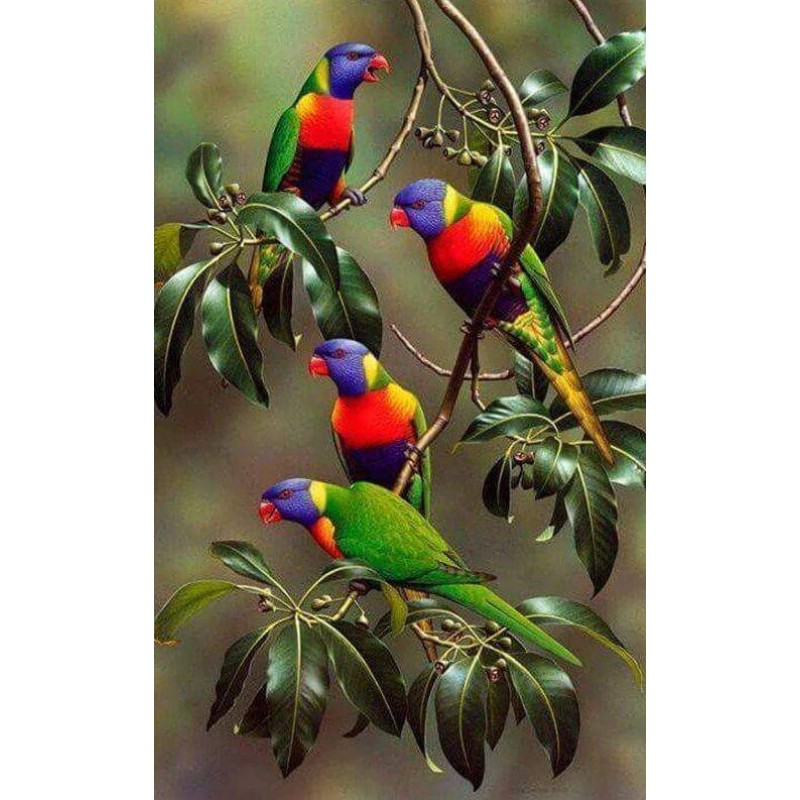 Parrots on Branches ...