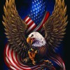 Eagle with Flag Diamond Art Kit